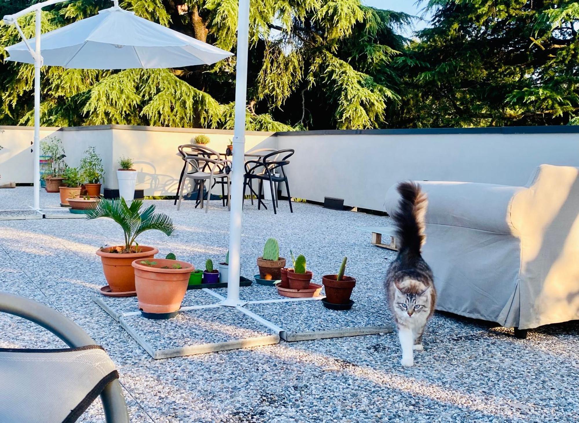 The Luxory Cat Milão Exterior foto