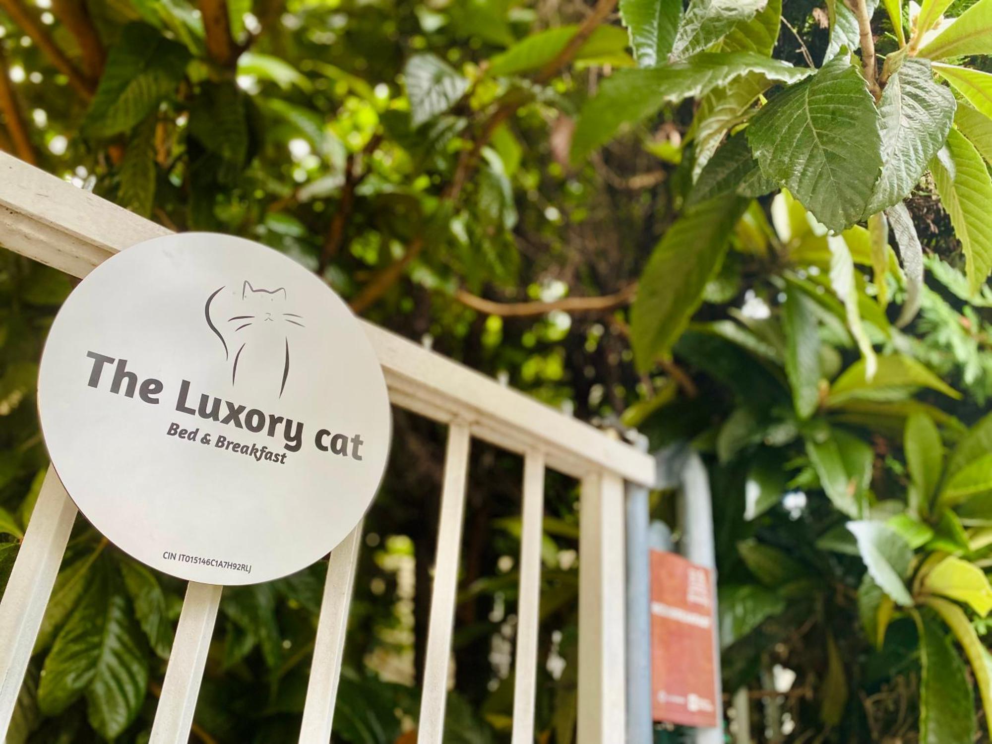 The Luxory Cat Milão Exterior foto